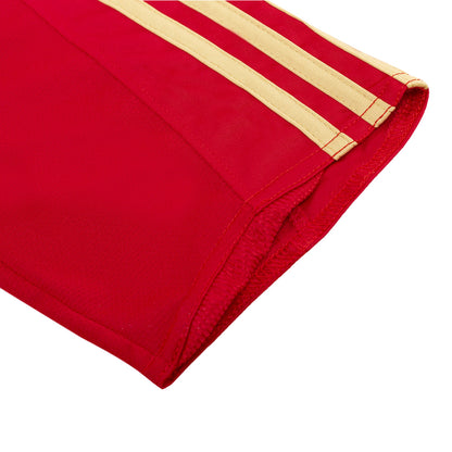 Retro Spanje Thuisshirt 2008